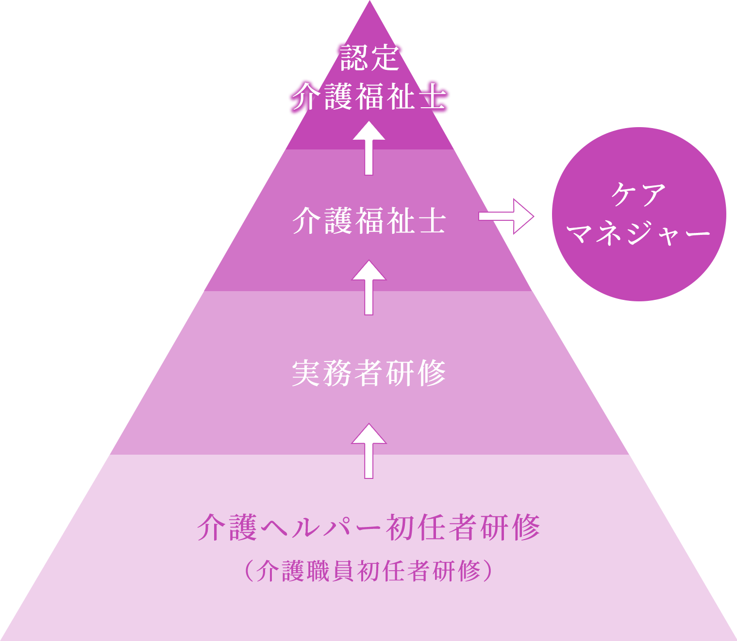 認定介護福祉士までのステップ